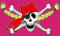U24 Fahne Flagge Piratenprinzessin II Pirat Prinzessin 90 x 150 cm