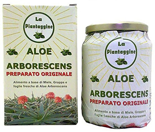 Aloe ArboresCENS als Rezept des Vaters Romano Zago Produkt aus Blättern