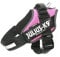 JULIUS K-9 IDC Powergeschirr, Größe: L / 1, Pink, 16IDC-PN-1