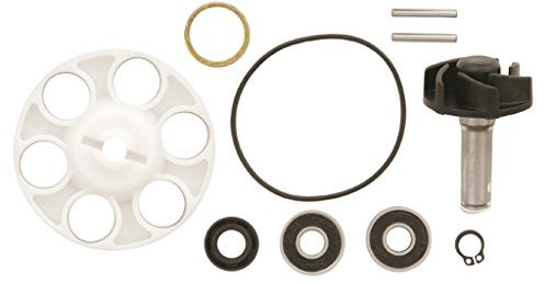 Vicma Water Pump Repair Kit For Minarelli LC