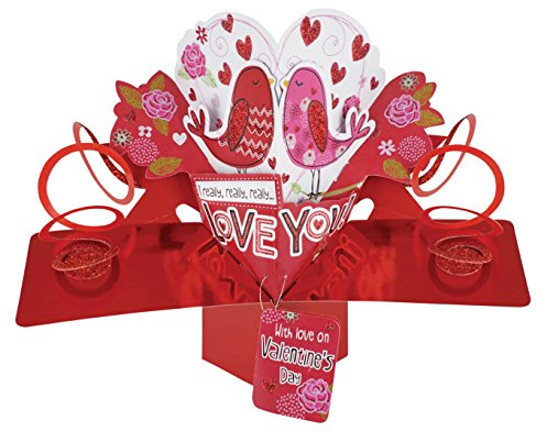 I Really Love You Valentine's Day Pop-Up Birds Greeting Card 3D Pop Up Cards