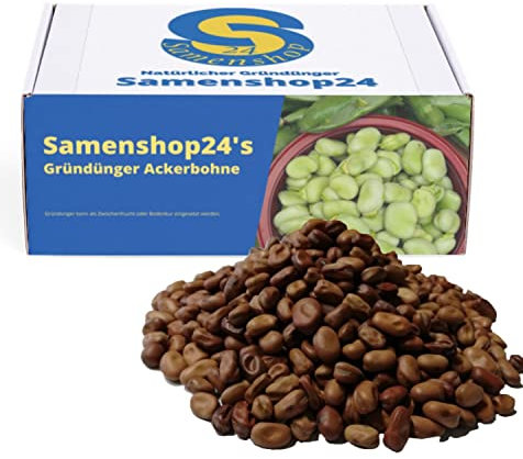 Samenshop24® Ackerbohnen Pferdebohnen, Saatgut, 1kg für ca. 50 m², Gründüngungspflanze mit tiefen Wurzeln für eine Gute Bodenlockerung