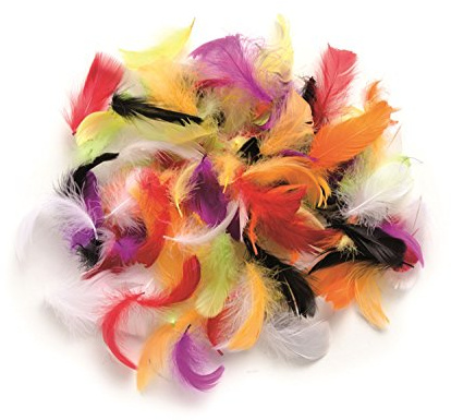 Glorex 6 3821 029 Decorative Feathers, Assorted Colours, Approx. 10 g, Feather Jewellery for Crafts and Decorating