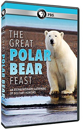 The Great Polar Bear Feast DVD