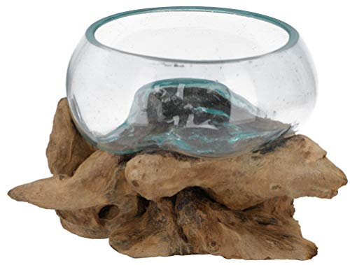 GURU SHOP Wurzelholz Vase, Schale, Schüssel - Ø Glas 20 cm M9, Braun, Vasen & Blumentöpfe