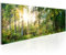 murando Acrylglasbild Waldlandschaft 135x45 cm 1 Teilig Wandbild auf Acryl Glasbilder Kunstdruck Moderne Acrylglas Platte Wanddekoration Geschenke Heimdekoration Glasbild - Natur Bäume Sonne