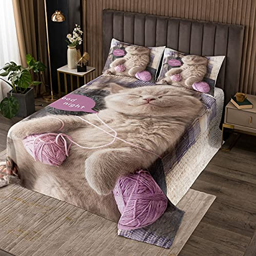 Loussiesd Katze Tagesdeck 240x260cm Wohndecke Haustier Katzen Steppdecke Kissen Sham Set Für Kinder Jungen Mädchen Niedlich Kätzchen Druck Bettüberwurf 3D Tierthema Karikatur Katze Schlafzimmer Dekor