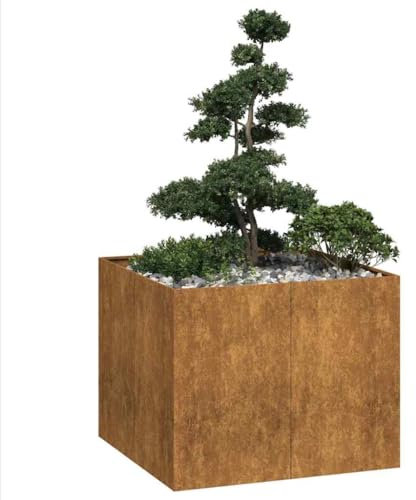 Rantry Jardinière rouillée 100 x 100 x 80 cm en acier Corten, Jardinière d'extérieur pour balcon