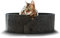 CanadianCat Company | Owen XL 50cm | Filzbett mit Kratzboden für Katzen Anthrazit - Katzenbett mit Wellpappe als Boden