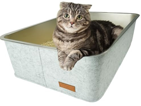 Petriumph® Katzenklo XXL aus Edelstahl | Katzentoilette Groß für Große Katzen und Kleine Katzen | Stilvoller Cat Litter Box | Katzenklo hoher Rand | Katzenklo XXL Modern