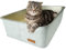 Petriumph® Katzenklo XXL aus Edelstahl | Katzentoilette Groß für Große Katzen und Kleine Katzen | Stilvoller Cat Litter Box | Katzenklo hoher Rand | Katzenklo XXL Modern