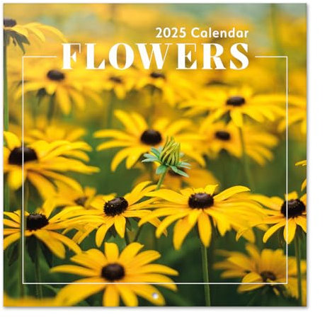 Kalender 2025 Wandkalender 2025 Grupo Erik Blumen Kalender 2025 Familienplaner 30 x 30 cm 12 Monate Jahreskalender Familienkalender 2025