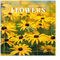 Kalender 2025 Wandkalender 2025 Grupo Erik Blumen Kalender 2025 Familienplaner 30 x 30 cm 12 Monate Jahreskalender Familienkalender 2025