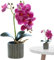 Mskmnkot Fausse orchidée en Pot réaliste 13x3x3 Pouces orchidées artificielles Fleurs artificielles décoratives Vives Violet Fausse Plante pour Le Mariage du Bureau à Domicile