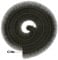 1 x 4 Meter Gutter Brush – Premium Quality 100mm Polypropylene Gutter Leaf Guard, Easy to Install Gutter Cleaning Gadget for Block Debris, Moss and Leaves