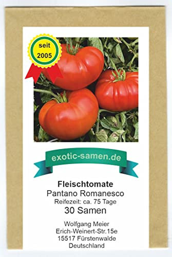 Fleischtomate – Pantano Romanesco – Italien – schmackhaft, beliebt – 30 Samen