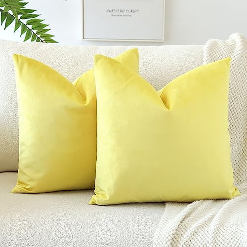 JOTOM Set Di 2 Fodere In Velluto Morbido Solido Fodere Di Cuscino Decorativo Cuscino Fodere Per Cuscini Da Letto Per La Decorazione Della Casa Per Divano Camera Da Letto 60x60 cm(Giallo Limone)