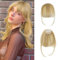 RPAEOY Haarschmuck Bangs Clip Haare Haarverlängerungen Flat Bang mit Schläfen Echthaar Front Face Fringe Pony Haarteile Pony Extension für Frauen das Tägliche Tragen (Grau-Gold)