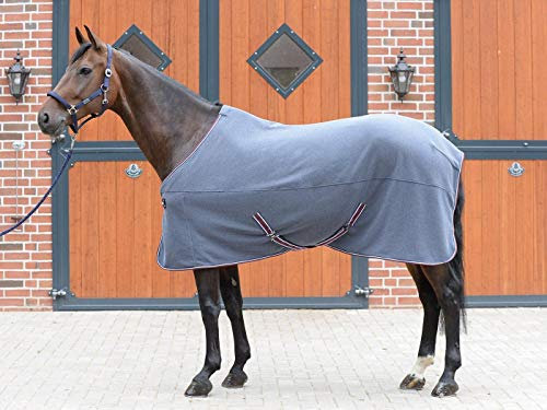 Busse Abschwitzdecke Excellent, grau, 165