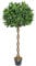 Christow Artificial Bay Tree In Pot, Large 3ft 4ft Tall Indoor Outdoor Garden Topiary Ball, Twisted Wooden Trunk, Realistic Lush Green Leaves, Home Office Restaurant (4ft, 1 pack)