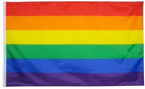 TRIXES Kleine Regenbogenfahne - LGBTQ Pride Fahnen/Banner - Accessoires für draußen und drinnen für den Pride Monat, Karneval, Festivals, Gartenparty und mehr – Lesbisch, Schwul, Bi, Trans