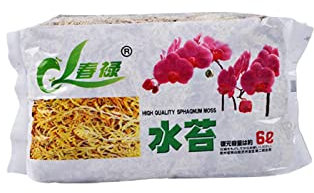 Sphagnum Musgo seco turba con nutrientes orgánicos, abono cultivo sin tierra para orquídeas Phalaenopsis (paquete comprimido 12 L/6 L)