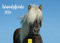 Edition Seidel Premium Kalender Islandpferde 2026 Format DIN A3 Wandkalender Pferdekalender Island Pferd Fohlen Stute Hengst