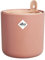 Elho Amazing Avocado Pot 12 - Vaso per Coltura E Raccolta - Ø 12.0 x H 12.1 cm - Marrone/Mou Terra