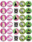 30 Wicked Movie Inspired Cupcake Toppers Edible Wafer Paper Fairy Cake Toppers Birthday Celebration Cakes Decorations