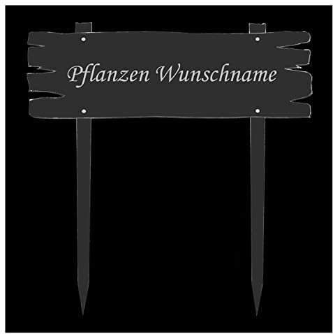 Bütic GmbH Acrylglas Pflanzschilder Brettoptik XXL farblos +Wunschname Kräuterschilder, Pflanzenname:Lilien