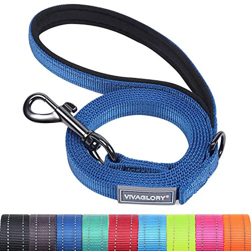 VIVAGLORY Dailyx Hundeleine, Welpenleine Hausleine Joggingleine Für Hunde, Hundeleine mit Schlaufe Und Gepolstertem Griff, Reflektierend & Gepolstert, 120 x 1.4cm, Blau