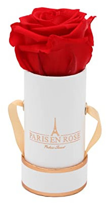 PARIS EN ROSE Rosenbox | mit einer roten Infinity Rose Größe XL | ewige Rose | runde Box Weiß-Rosegold | 3 Jahre haltbar | Grußkarte