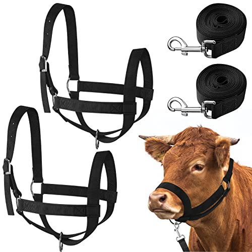 Windyun 2 Stück Nylon-Kuh-Halfter mit 2 Stück Führungsseil, verstellbares Fohlen-Halfter Pferd, Wadengeschirr für Esel, Rinder, Ziegen-Training, Schwarz