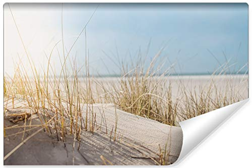 Wallepic Fototapete Dünen 240 x 360 cm Vlies Wand Tapete Strand Landschaft Natur Sand Ausblick Vliestapete Wohnzimmer Schlafzimmer Moderne Wandbild Wandposter