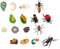 STOBOK Lebensdauer Zyklus Figuren von Schmetterlinge Marienkäfer Geweih Bug Insekten Leben Zyklus Modell Simulation Leben Bühne Tier Figur Kognitiven Biologie Wissenschaft Spielzeug 4