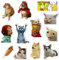 GTOTd Cat Meme Fridge Magnet Kühlschrankmagnet (12 Stück) Geschenke Merch Lustige Dekoration Stoßstangen Aufkleber Kühlschrank Metallmagnet Flexibel Wiederverwendbar Magnetisches Vinyl