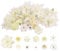 JTgugu 26 Stück Kunstblumen Köpfe 2-10cm Künstliche Blumenköpfe Verschiedene Sorten Blumen Mini Fake Kunstblume Flowers Künstlich Dekoblumen für DIY Hochzeit Party Tortendeko Handwerk Deko, Weiß