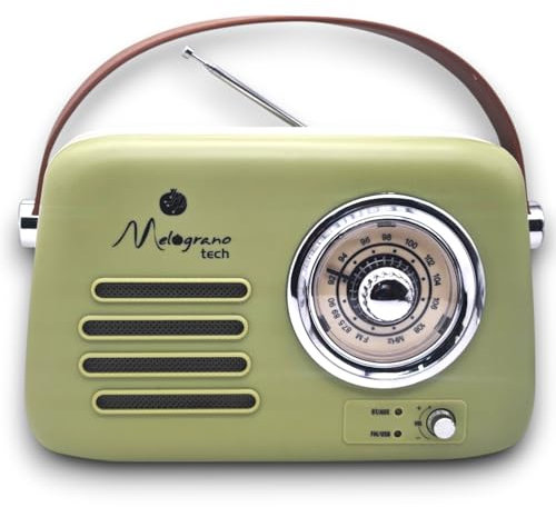 Cassa Bluetooth Portatile Retro con Design Vintage - Altoparlante Wireless in Diversi Colori, Dimensioni Compatte 22x9x19 cm, Audio Potente, Include Cavo di Ricarica (Verde)