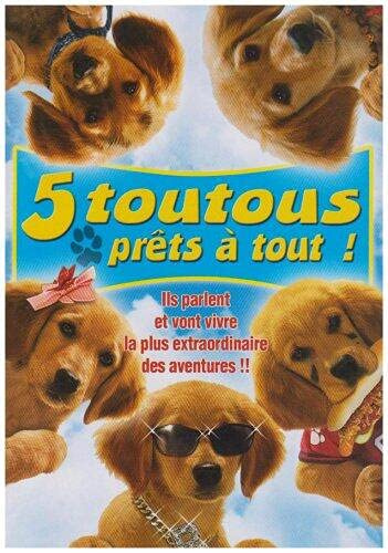 Cinq toutous prêts à tout! [FR Import]