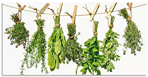ARTLAND Wanddeko Wandbild Alu Verbundplatte für Innen & Outdoor Bild 60x30 cm Kräuter Gewürze Pflanzen Lebensmittel Mediterran T3WN