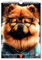 artboxONE Kalender 2026 Lustige Haustiere Wandkalender A4 2026 Tiere