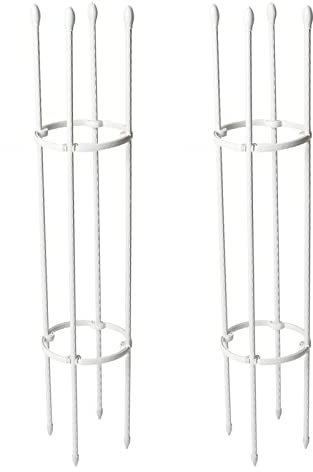 FLEXMAN 2 Stück Kletterhilfen für Ranken, 75 x 15 cm, Kletterstützen für Pflanzen, Balkon, Outdoor, Stahlrohr, Pflanzen, Blumen, Gemüse, Klettergerüst für Balkone, Flure, Gärten