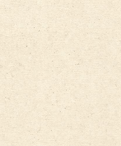 Rasch Tapeten Vliestapete (universell) Beige 10,05 m x 0,53 m Concrete 520835
