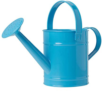 QmjdDymx Pot d'arrosage pour Plantes, 1,5 L, arrosoir pour Enfants, Petites Plantes de Jardin en métal, équipement d'arrosage pour Fleurs d'intérieur, Bleu