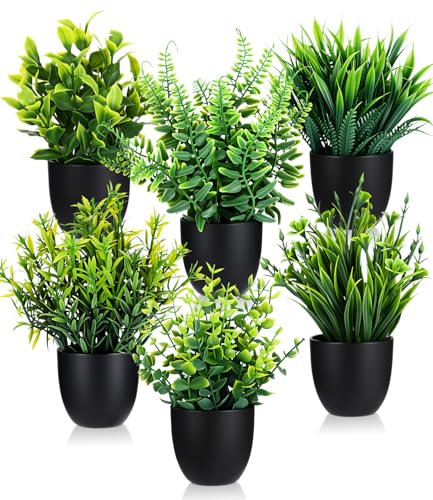 Cexovo Plantes Artificielles Interieur 6 Pièces Mini Plantes Artificielles Verdure Plastique Faux Plantes avec Pot Verdure Artificielle en Plastique pour Bureau Salon Chambre Salle De Bain Noir