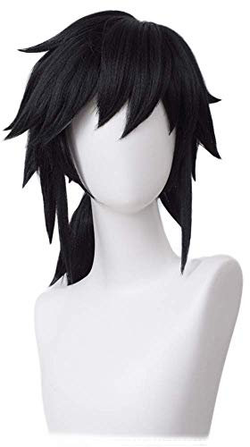 Schwarze Ponytail Perücke, Tomioka Giyuu Wig Cosplay, Anime Kostüm Perücken, Halloween Party Karneval Party für Mann und Jungen
