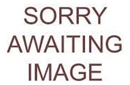 Just Natural Organic Organic Goji Berries 400g