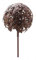 Gartenstecker - Allium - H120cm / D20cm - Rost - Gartendeko