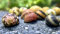 WaterPlants 5 Fancy Geweihschnecke - Clithon sowerianum, Aquarium Schnecke