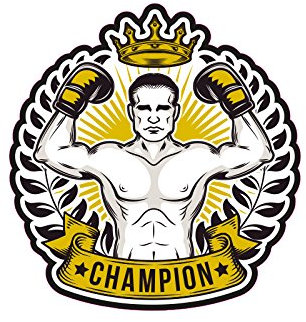 1 x Aufkleber Boxing Sticker Champion WBC Meister Boxer Boxen Sieger Logo Sport